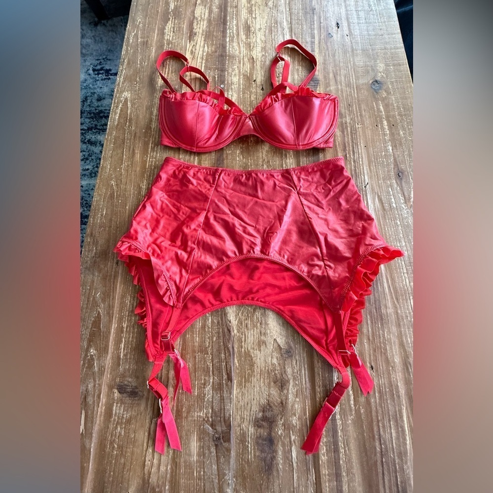 Savage x Fenty Glossy Flossy Caged Quarter Cup Bra and matching garter skirt - Picture 2 of 7
